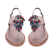 DIVINA – Toucan Peltro