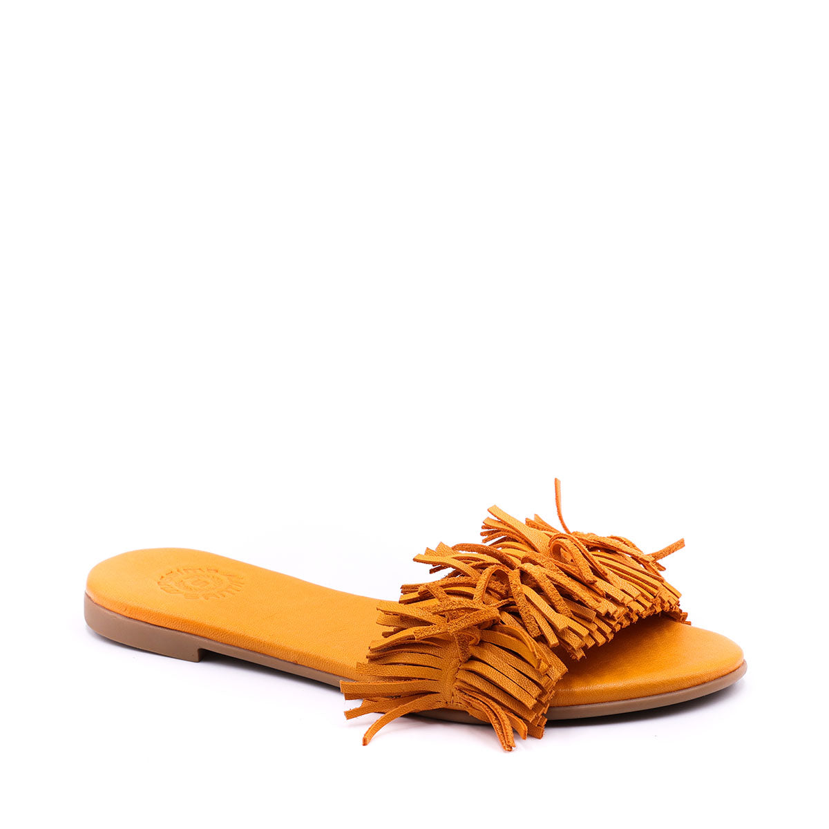 fulviaorange2.jpg