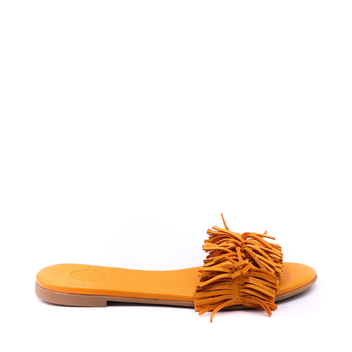fulviaorange3.jpg